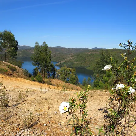 Acacias Rubras *