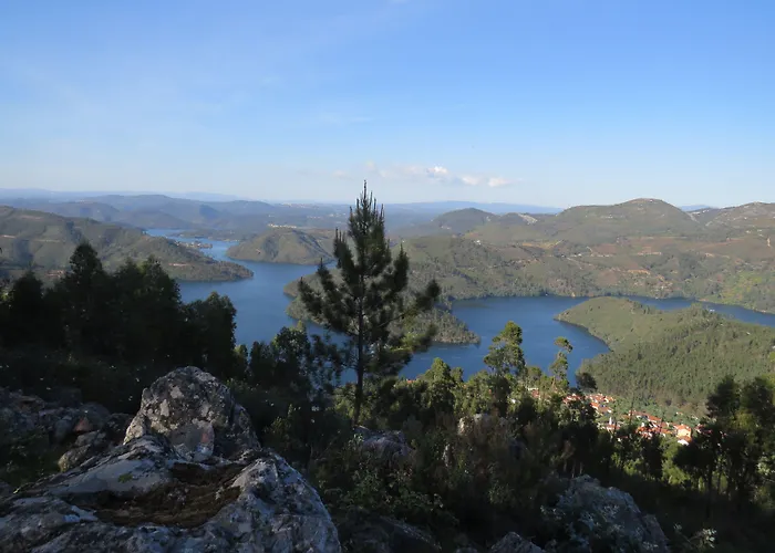 Acacias Rubras * Ferreira do Zêzere