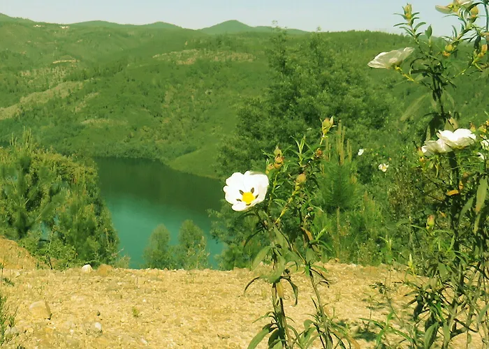 Acacias Rubras Hostel